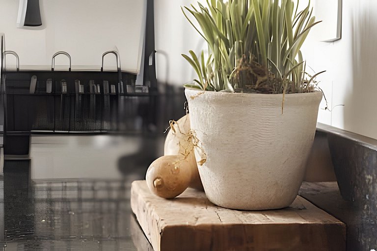 Vineyard | Praia de Itaparica | Vista Mar 8° Andar