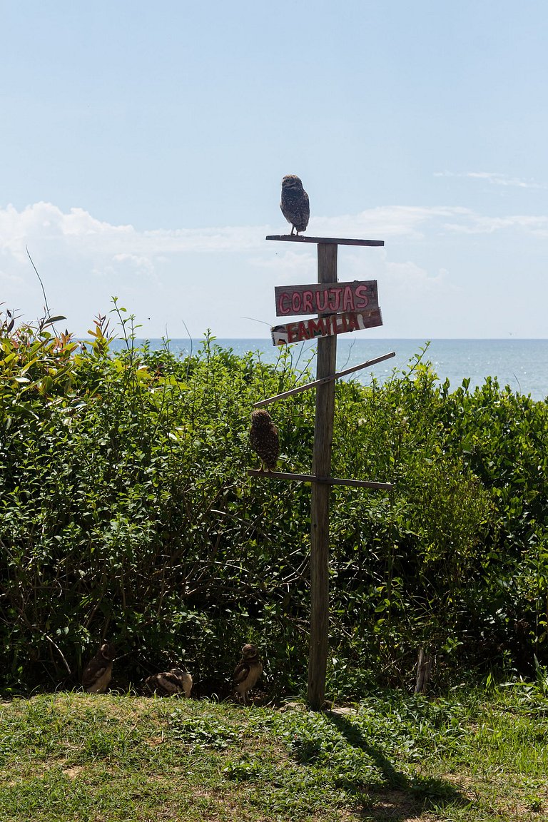 Casa | Ponta da Fruta | Praia, Lagoa, Lazer