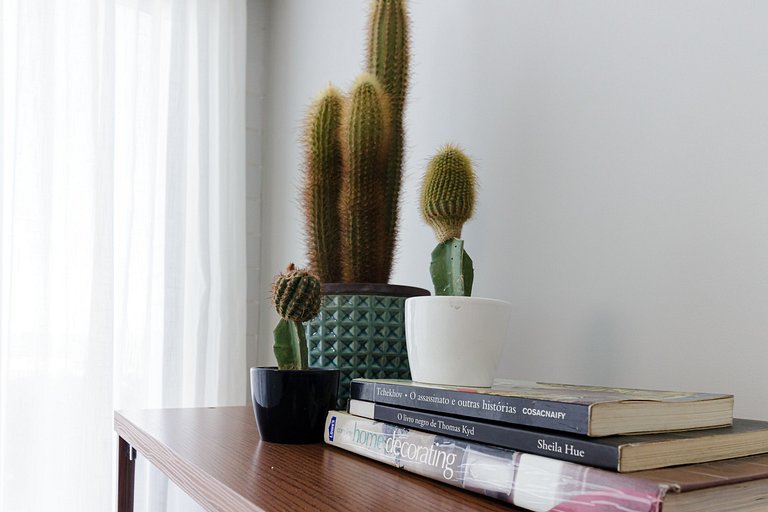 Palmer | Jockey de Itaparica | Família & Lazer